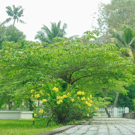 Muziris Harbour View Hotel Kochi Exterior foto
