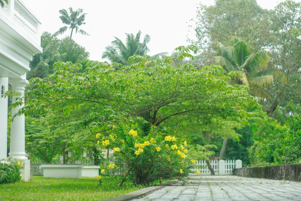 Muziris Harbour View Hotel Kochi Exterior foto